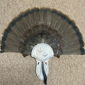 Meet your Posher, Brad